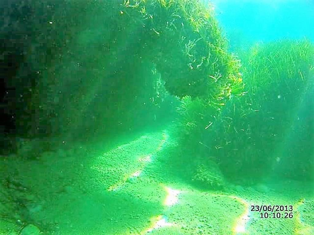 דירות Korakokhórion Sea Breeze Ena מראה חיצוני תמונה